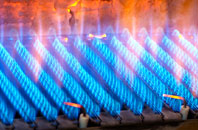 Nettleton Shrub gas fired boilers